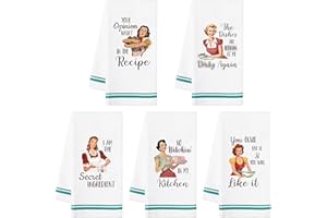 R HORSE küchentücher küche für die Küche - 5 Stück Retro Sassy Lady Küchentuch Bar Hand Geschirrtuch Hilarious Handtuch Geschenk für Gastgeberin Mutter Frauen Housewarming, 40×60cm