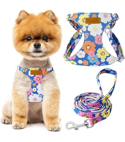 Anny-x tuig limited edition babyroze/grijs maat L - Hondenschool Sammie Utrecht