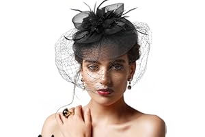 DRESHOW Fascinator Hüte für Damen Pillbox Hut mit Schleier Stirnband und Einer Gegabelten Clip Tea Party Kopfbedeckung