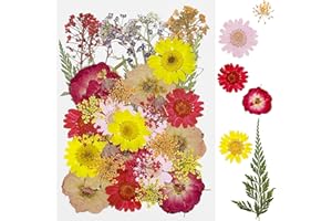 Cayway 40 Pz Naturales Flores Prensadas Secas, Rosa Naturales Flor Prensada Mezclada, DIY Flores Secas Prensadas para Resina Scrapbooking, Joyería de Resina Epoxi