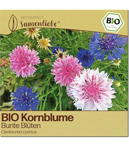 Samenliebe BIO Kornblumen Samen | Schnittblume - blaue Blten - samenfestes  BIO Saatgut : Amazon.de: Garten