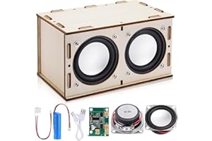 Dromlag Giochi Bambino 6-12 Anni Maschio, Cassa Bluetooth Fai Da Te Regalo Bambino 8 9 10 11 12 Anni Maschio Esperimenti Scientifici per Bambini Giochi per Bambini Regali di Natale per Adolescenti