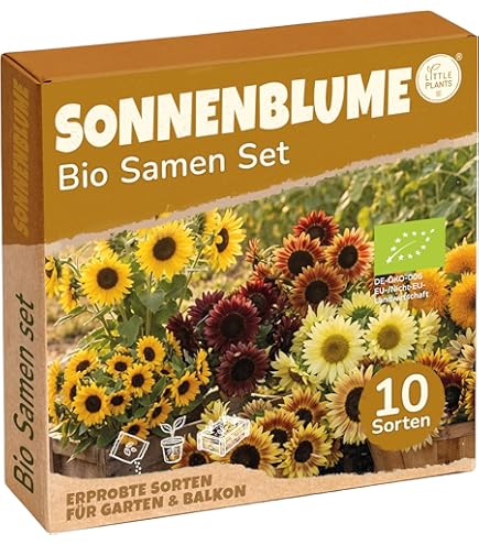 Taubnessel-Samen, 100Pcs / Beutel Taubnessel-Samen Halbimmergrn Frische  Lila Umweltfreundlich Purpureum Red Henbit Samen fr die ideale  Outdoor-Garten Geschenk : Amazon.de: Garten