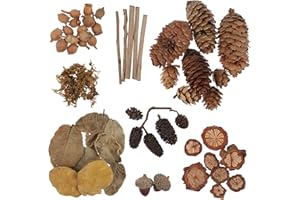 Yardwe 1 Pack of Natural Wood Branches Natural Acorns Pine Cones Leaves Ornaments for DIY Craft Rustic Retro Vintage Decoration Photo Props Decorative Fall Winter Holiday Home Decor Vase Filler