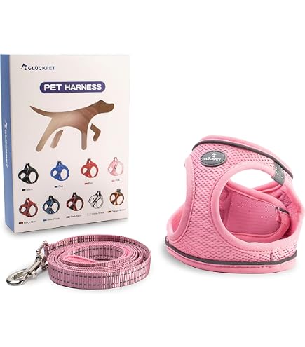 Arnés De Nylon Basic Arppe Para Perro - Ajustable, Cierre Rápido, Talla Única (Cuello 38-57.5 Cm, Pecho 55-75 Cm)