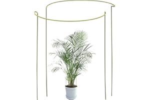 ODOXIA Kit de 2 Tuteur | Supports pour Plantes Grimpantes et Fleurs |Vert | Aidez Vos Plantes à Pousser | Tuteurs Tomates Jardin | Pieux à Hortensias, Pivoines, vivaces et Plus