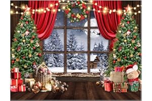 AIIKES 10x8ft Christmas Backdrop Winter Christmas Window Photography Backdrop 12-636