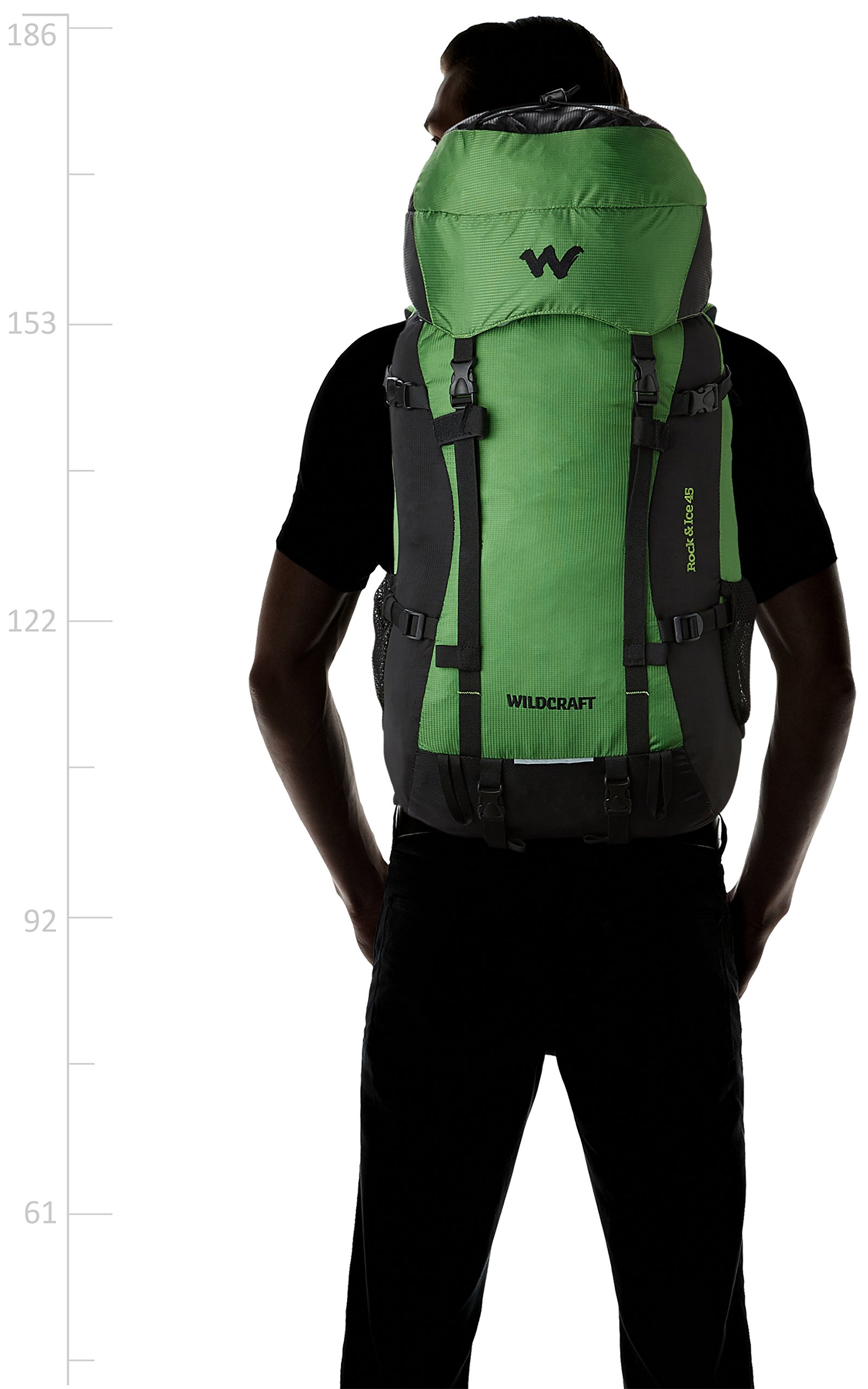 Buy Wildcraft 45 ltrs Green Hiking 