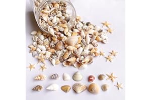 Wanwanzi 1200 pequeñas conchas marinas y 10 estrellas de mar pequeñas, conchas marinas en espiral para pecera y relleno de jarrones, fiesta temática de playa, decoración de boda, suministros de