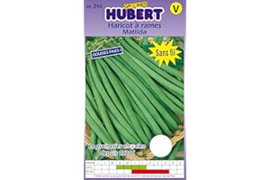 GRAINES HUBERT SEMENCES & ENGRAIS MAIROL Graines de Haricot à rames Matilda - 125 grammes