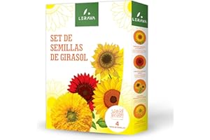 LERAVA® Semillas de Girasol (Set) - Cuatro Variedades - Crecimiento Fácil - Colores vivos y flores hermosas - Semillas girasol para plantar - Girasoles naturales