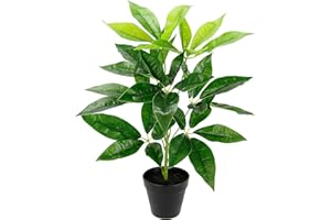‎FLAIR FLOWER Künstliche Blattpflanze im Topf, Schefflera Pflanze Seidenblumen Real Touch Kunstpflanzen Zimmerpflanzen Dekopflanze Grünpflanze Seidenpflanze Kunstblume Strahlenaralie Büropflanze Dekopflanze Deko