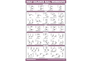 ‎PALACE LEARNING Trainingsposter mit halbem Balance-Ball – Übung