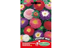 Germisem Lilliput Mix Semillas de Aster Chino 1 g, EC1517