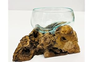 My Square Mile Molten Glass Display Bowl On Wood Root Stand | Glass Rustic Ornament Sculpture Key Sweet Display Dish (Small)