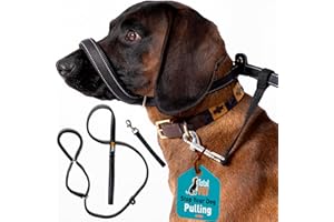 Total Pet Figure of 8 Dog Lead - Flat Anti Pull Stop Dogs Pulling – Slip Leads Reflective with Padded Nose Support (180cm)