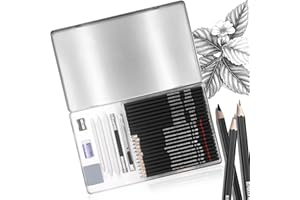 WONWOOD_DIRECT Kit Dessin Professionnel Crayon Graphite Grades 2H à 8B, Crayon Dessin pour Croquis, Crayons et Écriture, pour Artistes et Amateurs, Set de 29