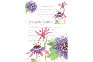 WILLOWBROOK Fresh Scents Passion Flower Duftsachet, 115 m