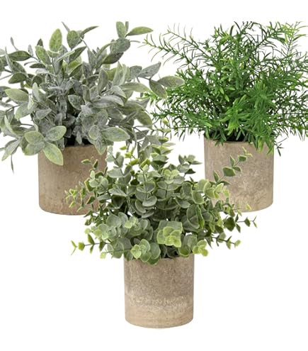 T4U set van 6 grasgroene kleine kunstplanten voor binnengebruik, kunstplanten in pot geschikt in huis en kantoor, ideaal om bureaus en binnenruimtes te decoreren zonder onderhoud T4U set van 6 grasgroene kleine kunstplanten voor binnengebruik, kunstplanten in pot geschikt in huis en kantoor, ideaal om bureaus en binnenruimtes te decoreren zonder onderhoud