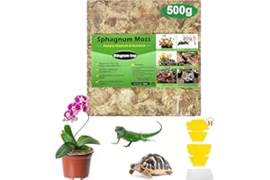 STINGMON TRAP Musgo Sphagnum Tierra para Plantas Musgo Sphagnum Natural Musgo para Orquidea Musgo Vivo Sustrato Bonsai Sustrato Orquideas Sustrato Plantas 500g y Trampa Moscas Atrapa Mosquitos Mata Moscas