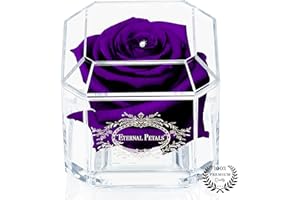 A 100% Real Rose That Lasts Years - Eternal Petals, Handmade in UK, Flowers Delivery Next Day Prime UK, Purple Rose – White Gold Solo with A Clear Crystal (Purple)