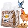 RANZ 5LBS Bulk Non-GMO Dried Mealworms for Chickens, High in Protein Mealworm Treats, Best for Wild Birds, Ducks, Hens, Fish, Turtle, Hedgehog, Hamster, Reptiles & Amphibian.