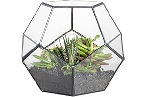 NCYP Cristal Transparente Pentagon Dodecaedro geométrico terrario suculenta terrario, Transparente (SIN Plantas Incluidas)