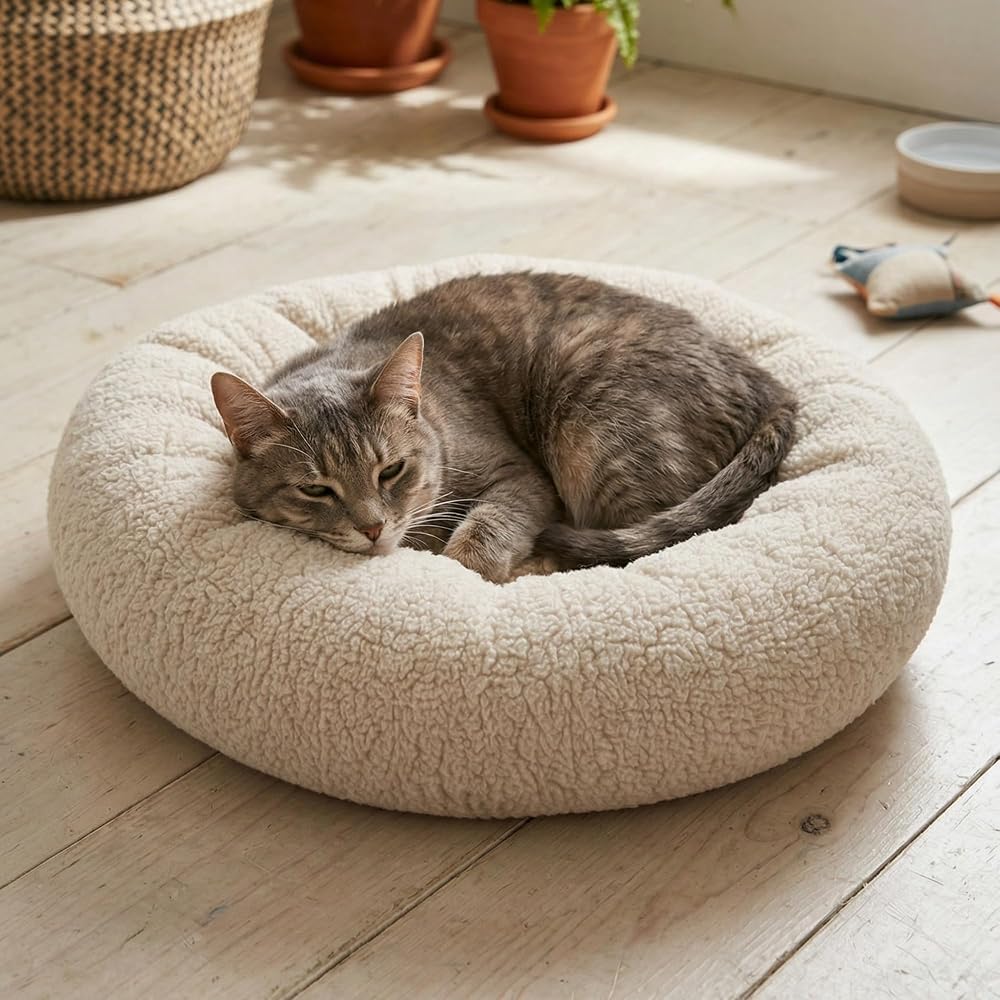 Teddy Donut Şeklinde, Ultra Yumuşak Kumaşlı, Kaydırmaz Tabanlı, Yıkanabilir Kedi ve Köpek Yatağı (Krem, Small)