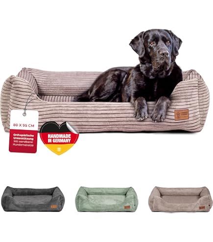 hund nassfutter kaufen anifit shop Hundefutter mit leichtem Geflügel & gesundem Gemüse main image 0