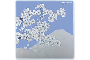 X-RAY X-RAYPAD Alfombrilla de ratón para Juegos X-Raypad Aqua Control 2 AC2, Ultra Alta precisión con Velocidad Capacidad de Control, diseñada para Jugadores Fps con Bajos requisitos de dpi