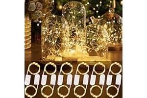 HXWEIYE Lot de 12 Guirlandes Lumineuses à Piles，2.1m 20LEDs Blanc Chaud Mini LED,étanche bouteille pour Interieur Exterieur, Vacances, Mariage, Fête, Noël