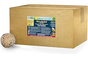 ERDTMANN'S ERDTMANNS – 60 Bolas de Masa de carbonero Plus Protein (con Insectos) sin Red para Aves Silvestres I Surtido Premium I Alto Contenido de proteínas I Ingredientes valiosos I Respetuoso con el Medio
