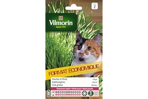 VILMORIN - Herbe à Chat - Usage et Entretien Faciles - Bonne pour la Digestion des Félins - Croissance Rapide - Sachet de 30 g