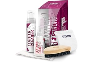 GYEON - Juego de Piel de Cuarzo Resistente, Kit de Detalles Interiores, Incluye Cepillo de Cuero, protección de Cuero de cerámica