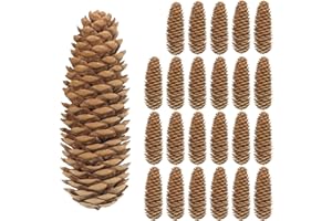Larber 24 PCS Pine Cones for Craft, 9.5-13cm Large Pine Cones, Fir Cones for Decoration,Wreaths,Christmas Tree,Table, Vase Fillers,Home Decor