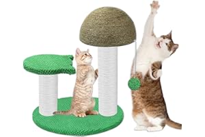 MIDOUAUTOUK Cat Scratching Post Cactus, Cat Scratcher for Kitten and Adult Cats, Durable Tall Cactus Cat Scratch Sisal Indoor with Interaction Ball for Kitten Rest Grinde Claws 12.5 * 12.5 * 28.3in
