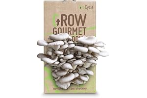 G GROCYCLE GroCycle Oyster Mushroom Growing Kit | Mushroom Grow Kit | Gardening Gifts for Women, Men & Kids | Grow Your Own Kits | Fun to Grow & Delicious to Eat | Oyster Mushroom Grow Kit | Mushroom Gifts