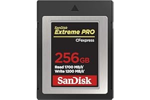 SanDisk Extreme Pro CFexpress-Speicherkarte Typ B 256 GB (1.700 MB/s Lesen, 1.200 MB/s Schreiben, RescuePRO Deluxe, ruckelfreie RAW Videos, 4K, XQD Kompatibilität)