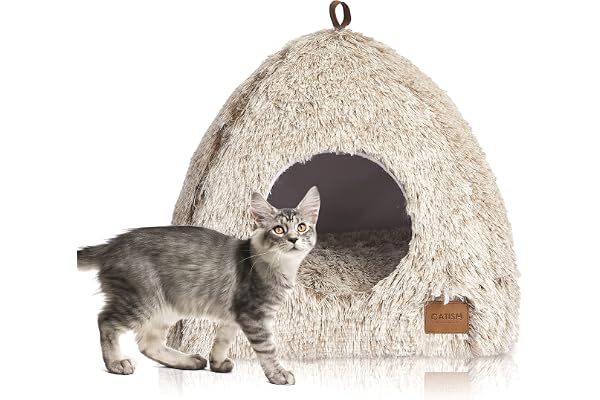 CATISM Chat Lit Coussin avec Oreiller Doux lit de Chat Panier Lit Lavable en Tissu Peluche Couffin Chien Beige (40 x 40 x 37 cm)
