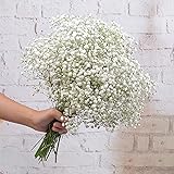 FEIGO 6 Stück Hochzeits Dekoration Schleierkraut Künstlich Gypsophila Kunstblumen Perfekt für Zuhause Hochzeit Party Dekor Bl