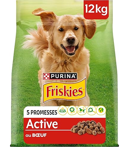 Friskies Junior Droogvoer voor honden met kip en groenten met melk, per stuk verpakt (1 x 3 kg