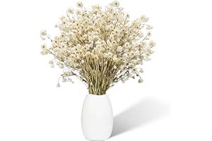 AUFISI Bouquet de Fleurs séchées Naturelles, 50 Morceaux de Fleurs Blancs préservés Daisy pour Mariage, Bureau à Domicile, fête, Arrangement de Fleurs de Bricolage