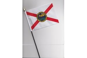 1000 FLAGS Florida USA State Hand Flag 25cm