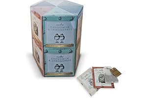 Charbrew Double Hex Teabags- Alice in Wonderland Assorted Tea Blends Gift Set - Selection of 6 Premium Blends x 16 mesh Teabags, 192G/6.8OZ
