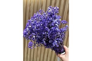 SHIIYYU Dried Baby's Breath Flowers Bouquet Natural Dried Flowers Baby's Breath Real Gypsophila Branches for Wedding, DIY Home Party Table Vase Decor, Wreath Floral