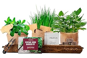 NAUKUA Kit Potager Interieur - Plantes d'intérieur Kit Plantes Aromatiques (Ciboulette, Origan, Sauge & Menthe) Kit Culture Interieur - Kit Plante Cultivea Mini Kit Prêt À Pousser Facilement à la Maison