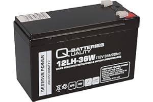 WSB Batteria al piombo 12 V 9 Ah 12LH-36 W ad alta corrente piombo AGM, compatibile WP1236 W, MP1236 H, NPW45-12, HR1234WF2, UP-RW1245P1