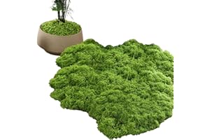 MXHBSTP Fake Moss 100 g, Artificial Moss Decorative Moss for Easter Decoration Light Green Fake Moss Faux Moss Fake Green Lichen Plants for Lawn Green Plant Aquarium Landscaping