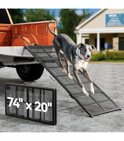 Cage De Transport Pour Animaux De Compagnie Pliable Et Portable PETSAFE Taille S  2344436