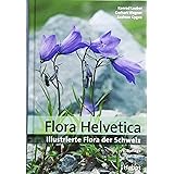 Flora Helvetica: Illustrierte Flora der Schweiz: mit Artbeschreibungen und Verbreitungskarten von 3200 wild wachsenden Farn- 